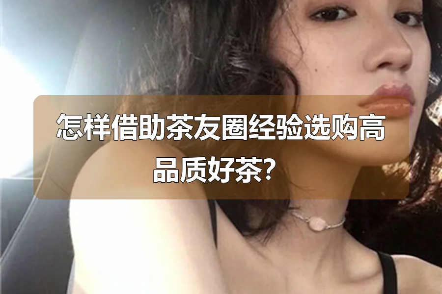 怎样借助茶友圈经验选购高品质好茶?